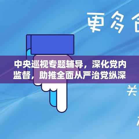 中央巡视专题辅导，深化党内监督，助推全面从严治党纵深前行