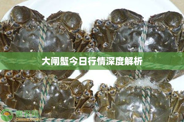 德才兼备 第3页