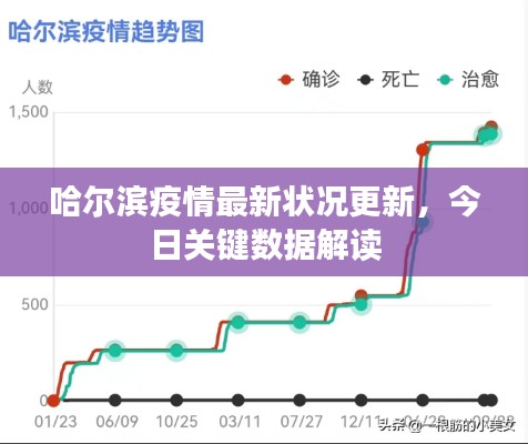 哈尔滨疫情最新状况更新，今日关键数据解读