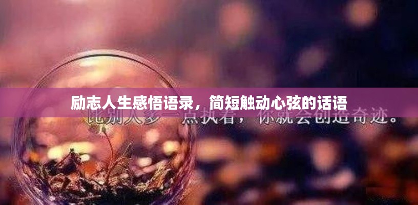 吉光片羽 第3页