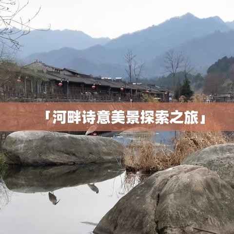 去就之分 第4页