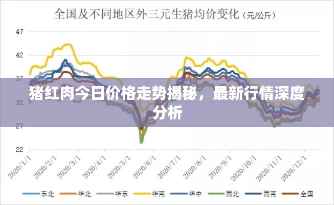 猪红肉今日价格走势揭秘，最新行情深度分析