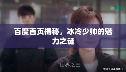 百度首页揭秘，冰冷少帅的魅力之谜