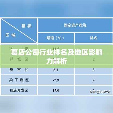 葛店公司行业排名及地区影响力解析