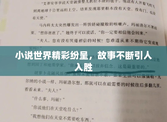 小说世界精彩纷呈，故事不断引人入胜