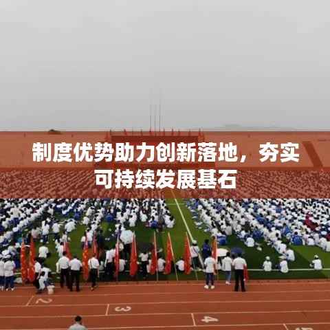 制度优势助力创新落地，夯实可持续发展基石