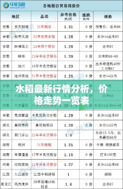 水稻最新行情分析，价格走势一览表