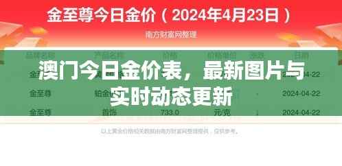 澳门今日金价表，最新图片与实时动态更新