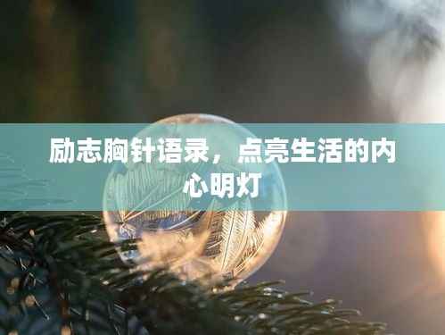 励志胸针语录，点亮生活的内心明灯