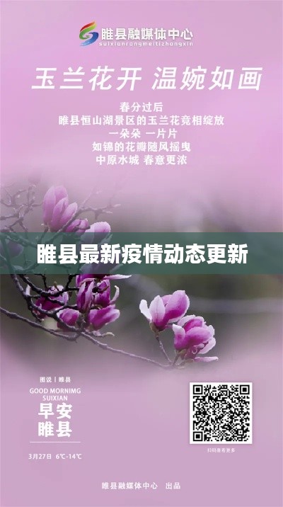 睢县最新疫情动态更新