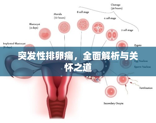 秀才人情纸半张 第3页