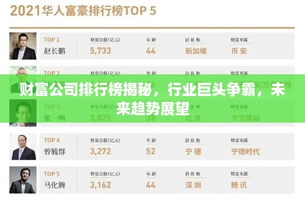 财富公司排行榜揭秘，行业巨头争霸，未来趋势展望