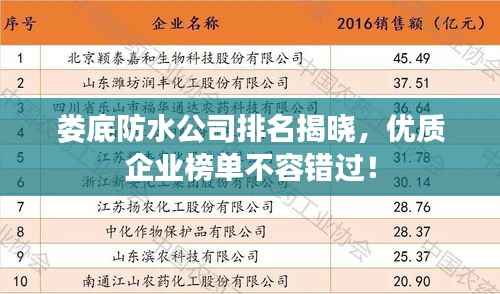 娄底防水公司排名揭晓，优质企业榜单不容错过！