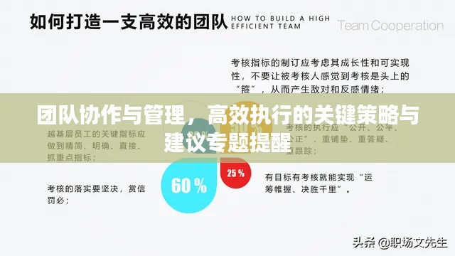 团队协作与管理，高效执行的关键策略与建议专题提醒