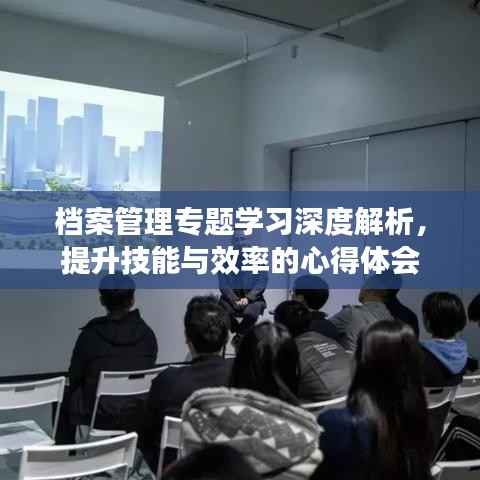 档案管理专题学习深度解析,提升技能与效率的心得体会