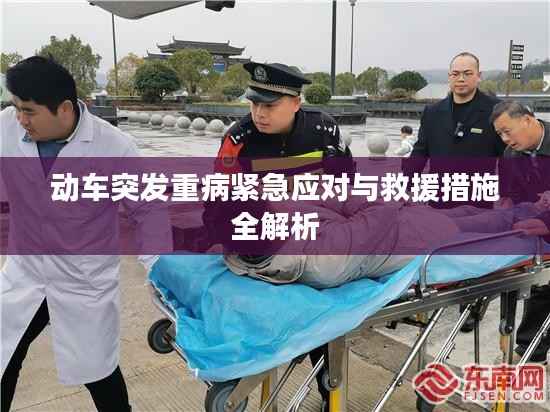 动车突发重病紧急应对与救援措施全解析