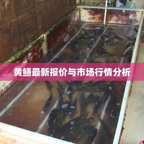 粗衣淡饭 第3页