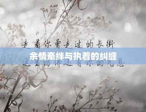 余情牵绊与执着的纠缠