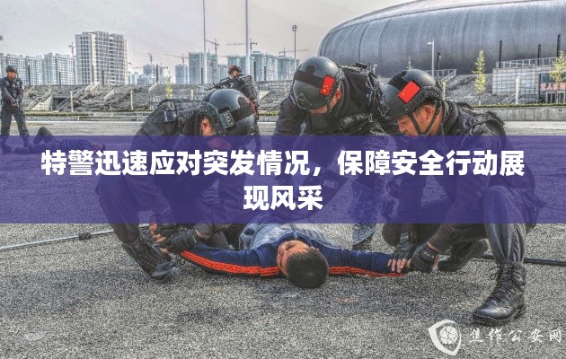 特警迅速应对突发情况，保障安全行动展现风采