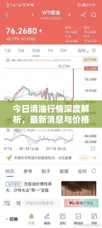 今日清油行情深度解析，最新消息与价格走势分析