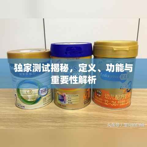独家测试揭秘，定义、功能与重要性解析