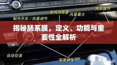 纡尊降贵 第3页