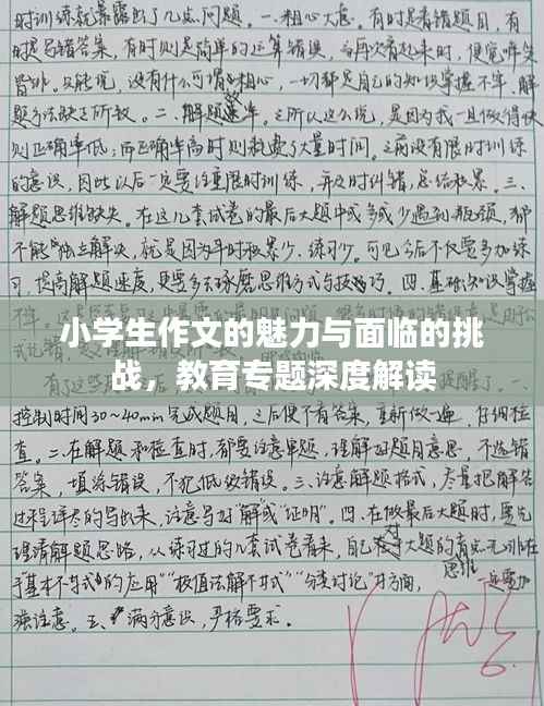 小学生作文的魅力与面临的挑战，教育专题深度解读