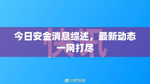 今日安金消息综述，最新动态一网打尽