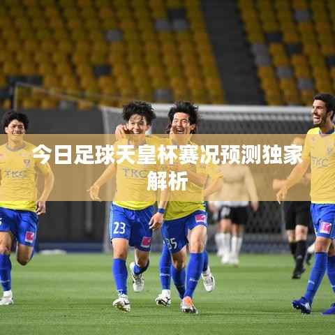 今日足球天皇杯赛况预测独家解析