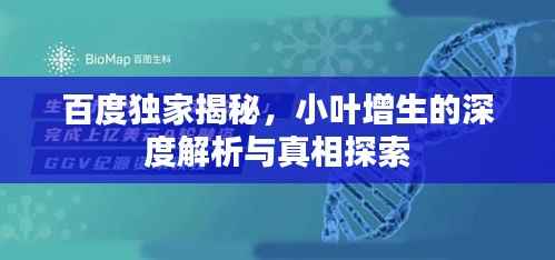 百度独家揭秘，小叶增生的深度解析与真相探索