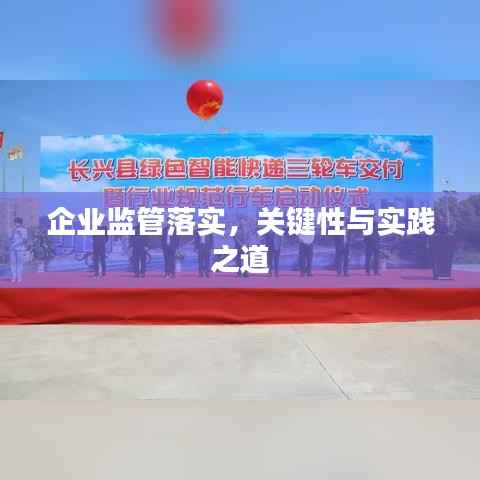 企业监管落实，关键性与实践之道
